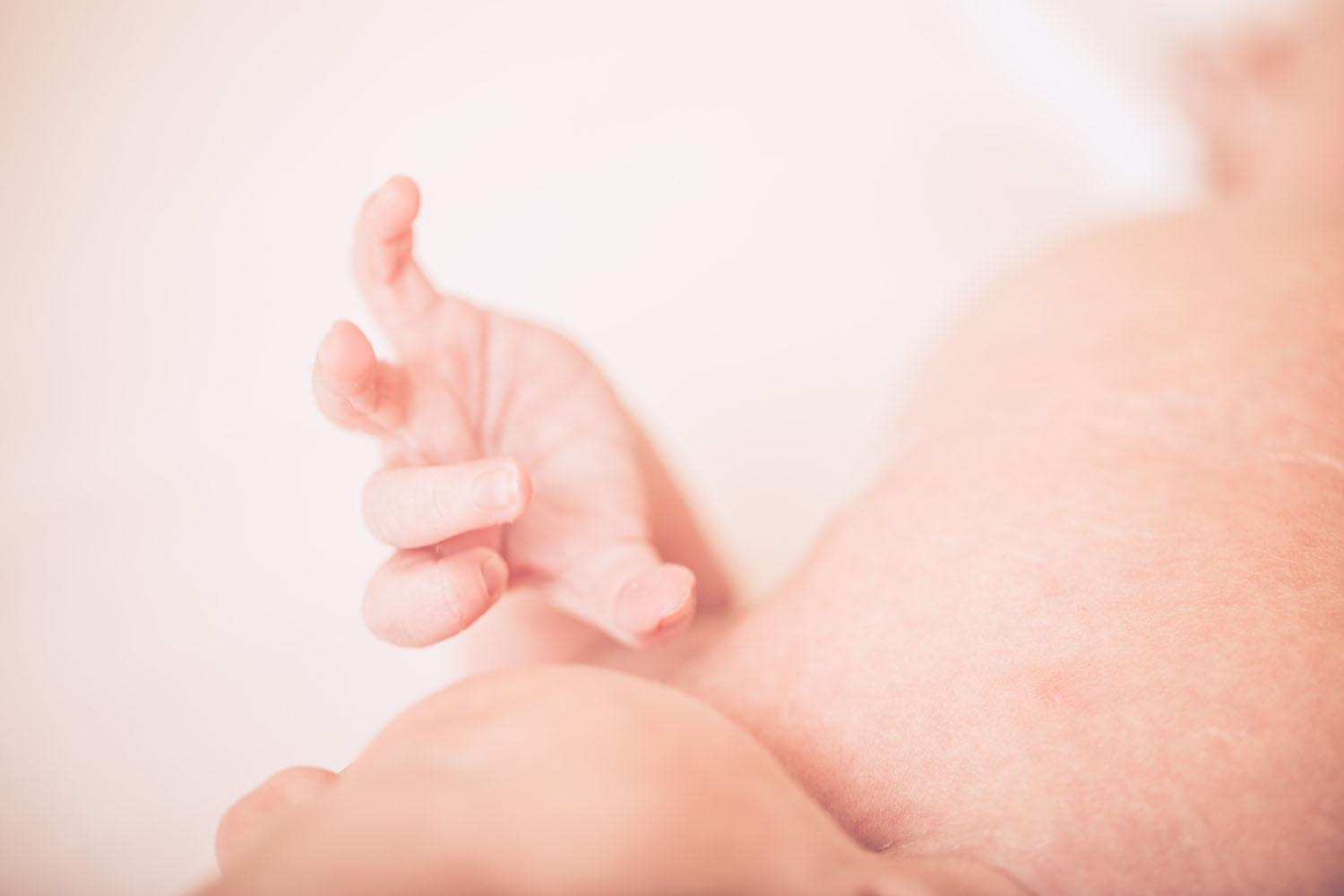Verloskundige zorg in Zeeuws-Vlaanderen van kinderwens, zwangerschap, echo's, bevalling tot borstvoeding in de kraamtijd
